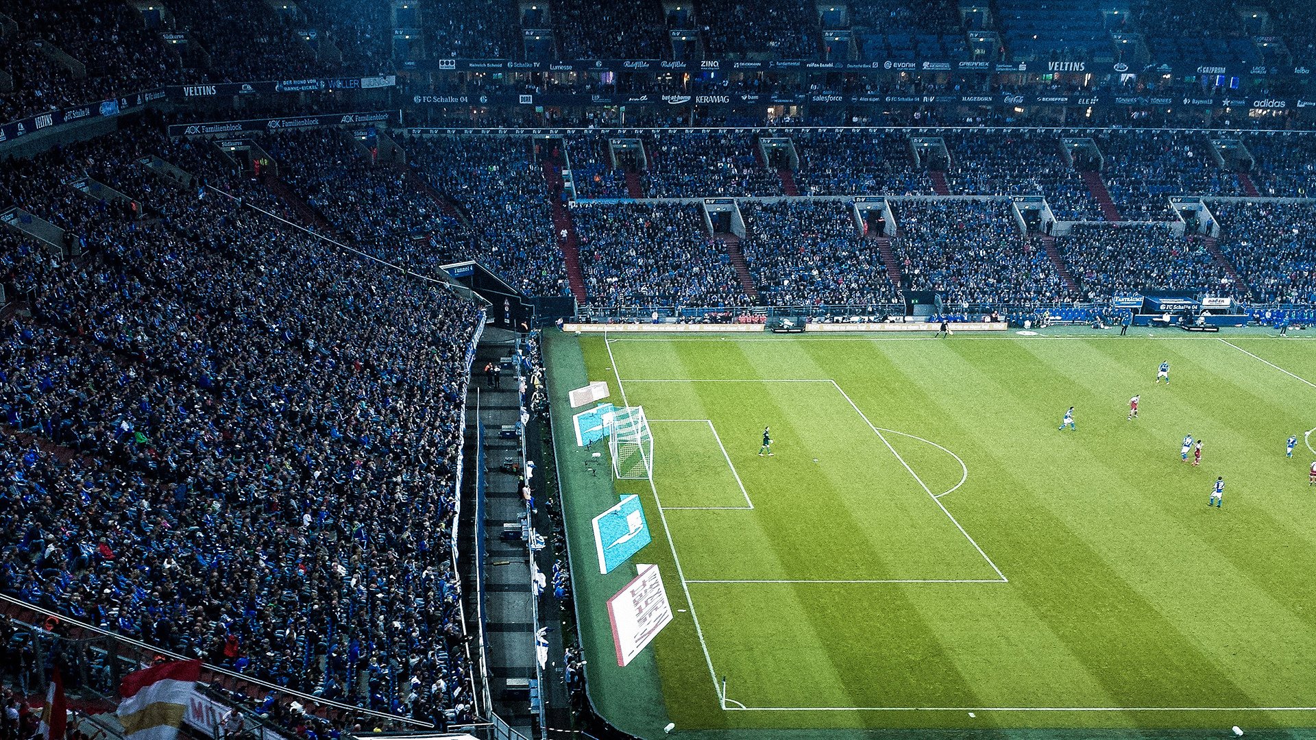 冠军球队球员参与科普讲座推广运动知识进校园,球队冠军感言