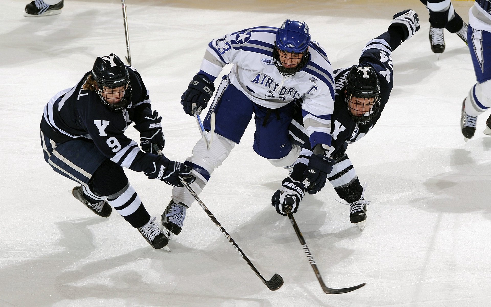 北京队战术升级,塞外猛虎迎来冲刺!,北京队战绩